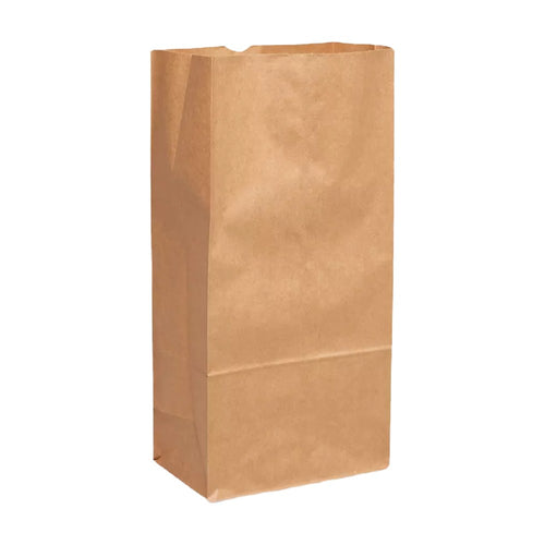 Kraft Paper Bag, #12