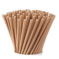 Paper Straws, 220mm, 2,000/case